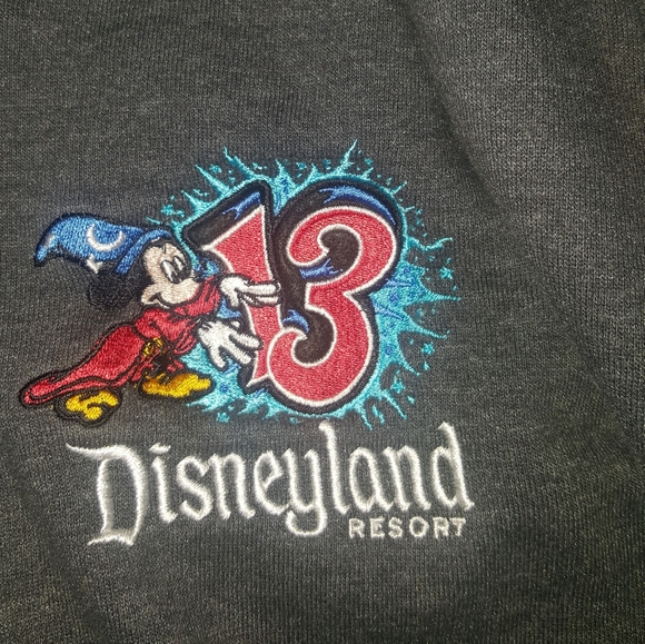2013 sweater ORIGINAL disney parks  with hoody - Picture 2 of 5